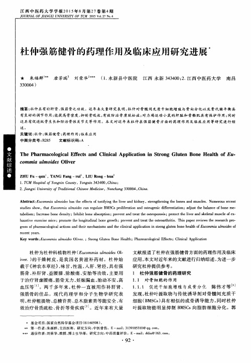 杜仲强筋健骨的药理作用及临床应用研究进展