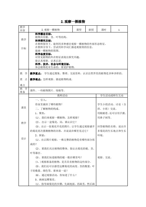 一年级科学上册第1单元植物2观察一棵植物教案1教科版