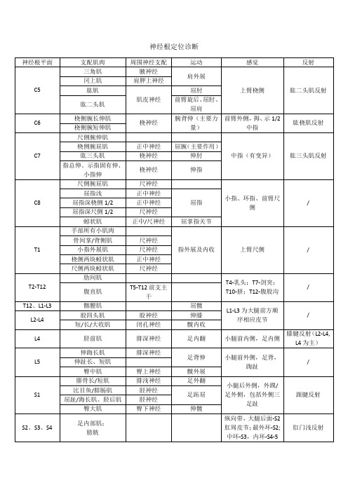 脊柱神经根定位