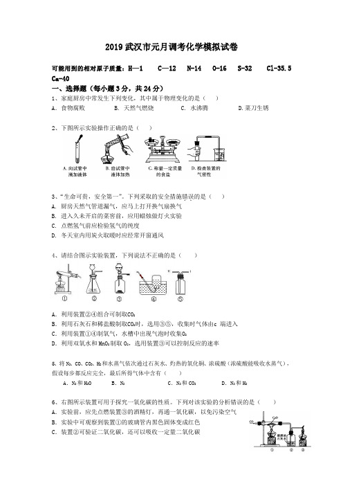 2019武汉市元月调考化学模拟试卷