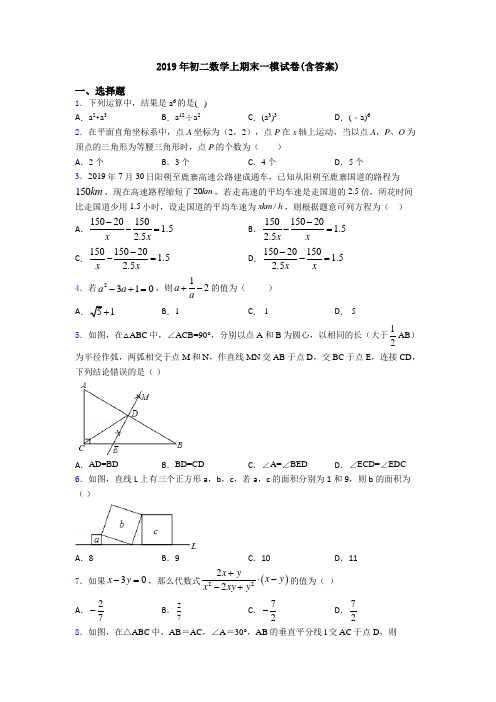 2019年初二数学上期末一模试卷(含答案)