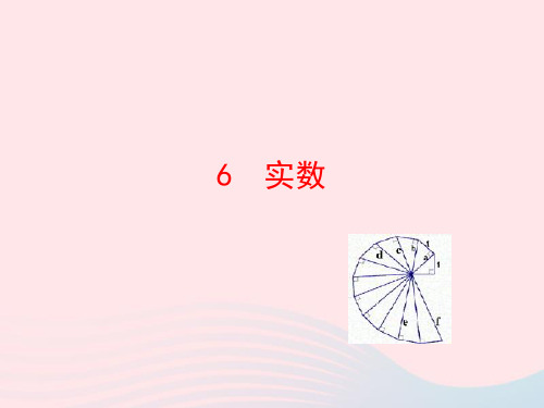 七年级数学上册 第四章 实数 6实数课件 鲁教版五四制