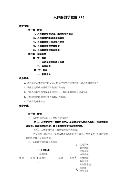 人体解剖学教案(1) 