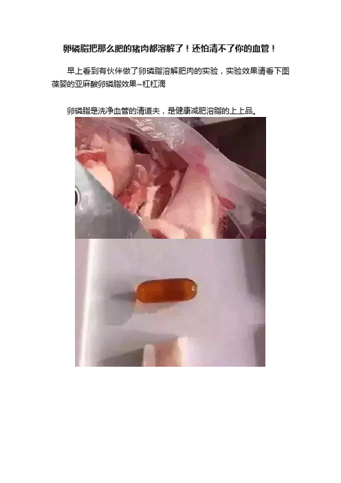 卵磷脂把那么肥的猪肉都溶解了！还怕清不了你的血管！