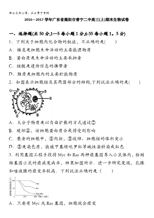 广东省揭阳市普宁二中高三上学期期末生物试卷