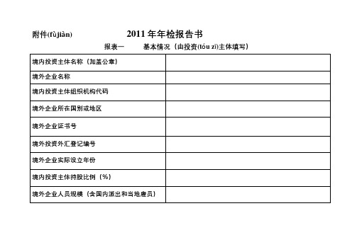 2011年境外年检报告书