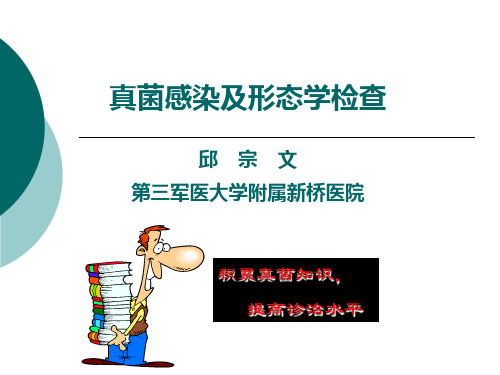 真菌感染及形态学检查基础