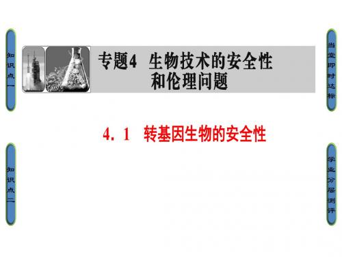 2017-2018学年高中生物人教版选修3课件：4-1 转基因生物的安全性