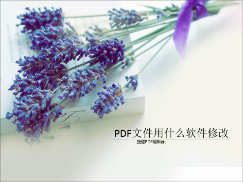 PDF文件用什么软件修改