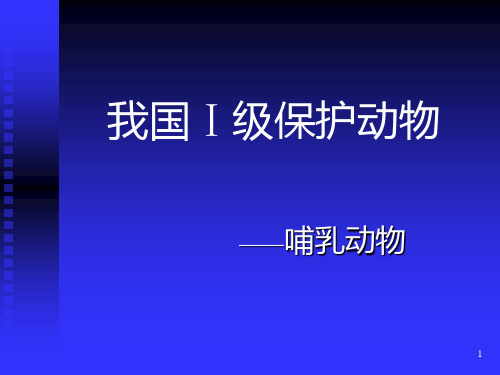 国家一级保护动物(兽类)