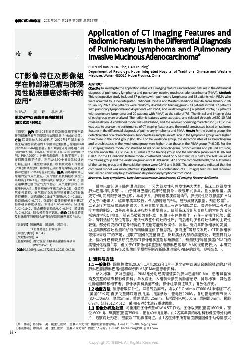 CT影像特征及影像组学在肺部淋巴瘤与肺浸润性黏液腺癌诊断中的应用