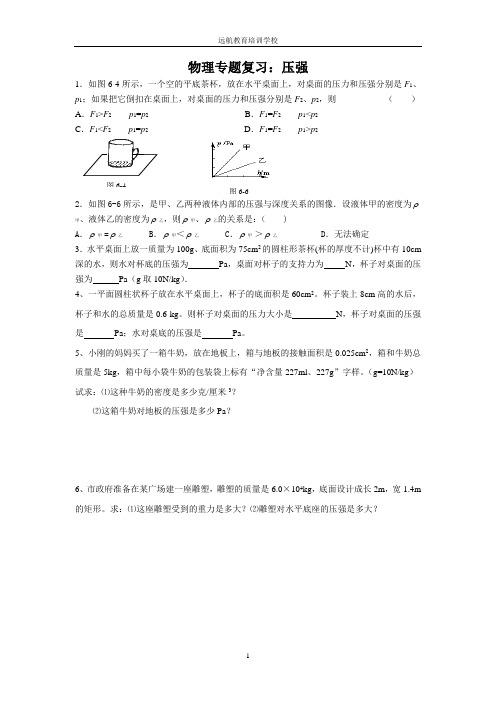 物理专题复习：压强