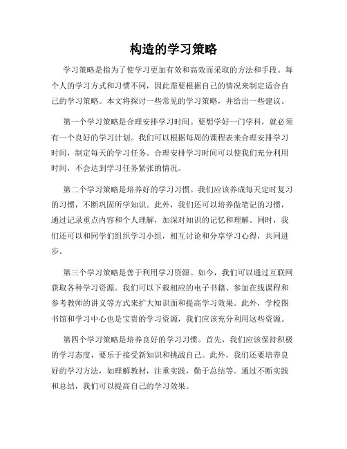 构造的学习策略