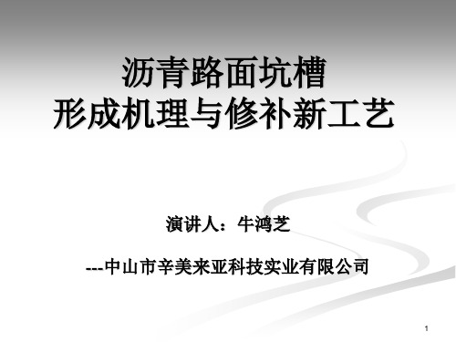 -沥青路面坑槽形成机理与修补新工艺-精选