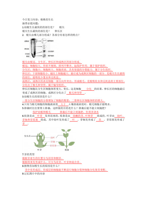 植株的生长