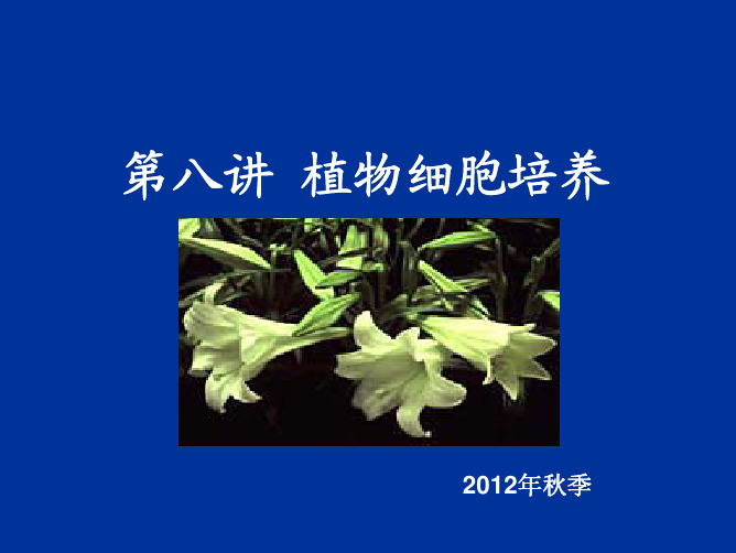 植物细胞培养