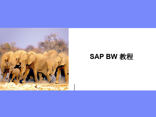 SAP BW 培训教程