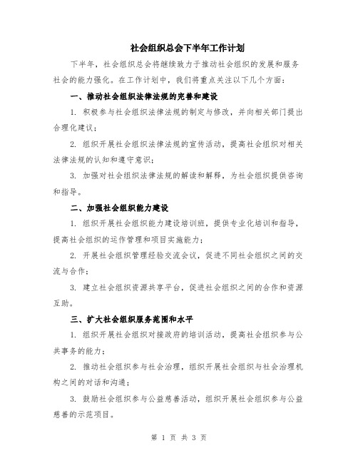 社会组织总会下半年工作计划