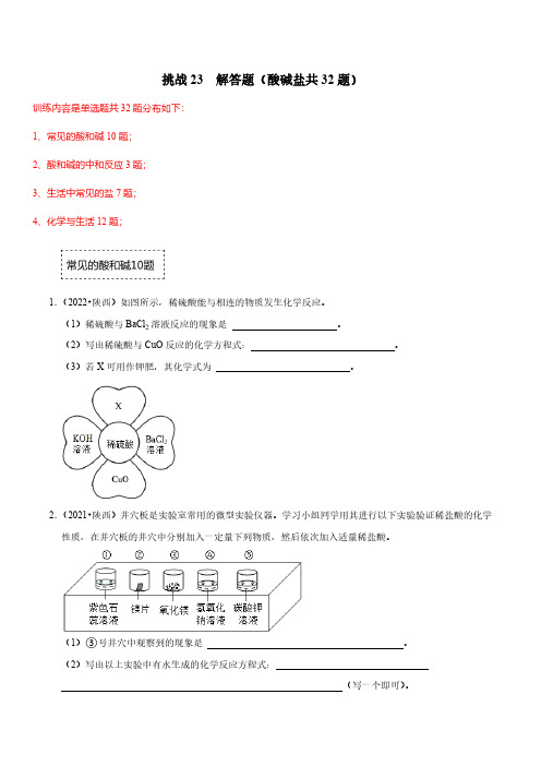 挑战23解答题(酸碱盐共32题)(原卷版)