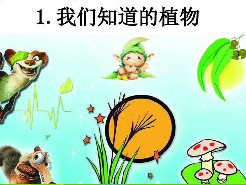 【教科版】教材《我们知道的植物》PPT-课件下载1