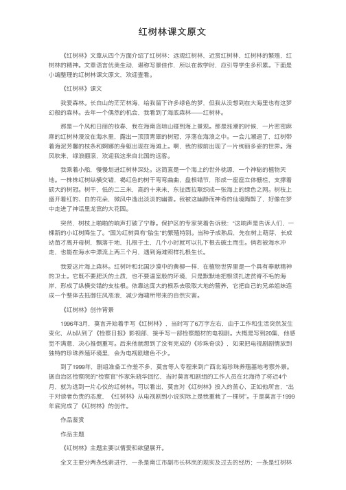 红树林课文原文