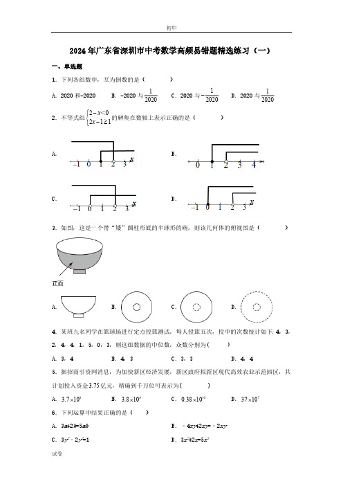 2024年广东省深圳市中考高频易错题型归纳及答案