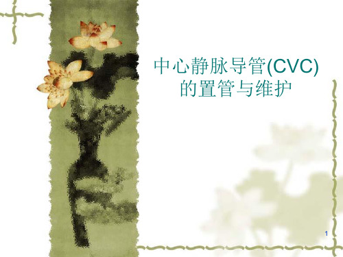 中心静脉导管CVC的置管与维护7ppt课件