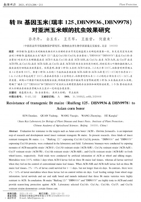 转Bt基因玉米(瑞丰125、DBN9936、DBN9978)对亚洲玉米螟的抗虫效果研究