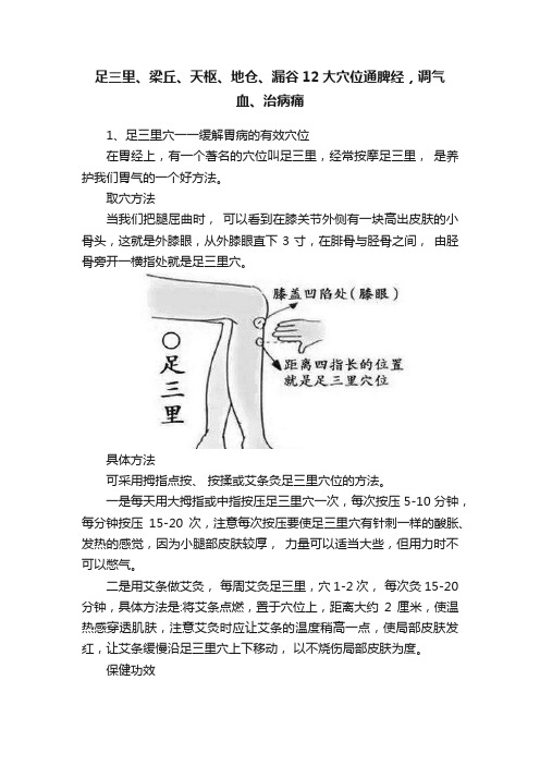 足三里、梁丘、天枢、地仓、漏谷12大穴位通脾经，调气血、治病痛