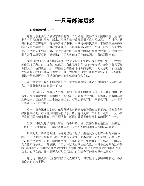 一只马蜂读后感