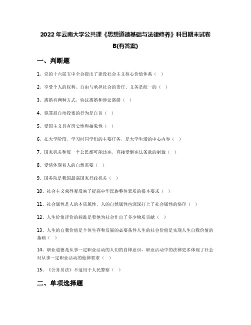 2022年云南大学公共课《思想道德基础与法律修养》科目期末试卷B(有答案)