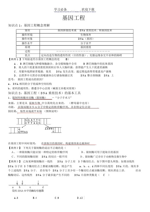 基因工程一轮复习教学案(教师版)