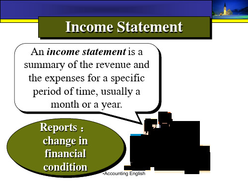 损益表说明--Income_Statement