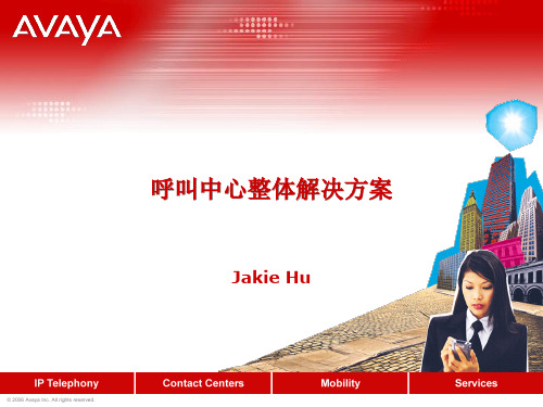 Avaya呼叫中心系统解决方案