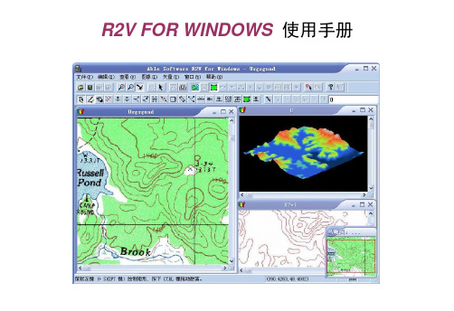 R2V 使用手册