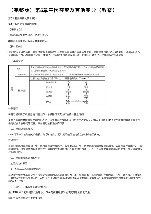 （完整版）第5章基因突变及其他变异（教案）