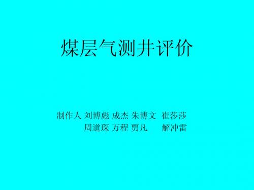 煤层气测井评价