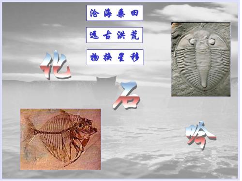 七年级语文21课-《化石吟》最新版