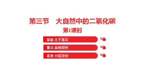 鲁教版九年级化学上册《大自然中的二氧化碳》燃烧与燃料PPT教学课件