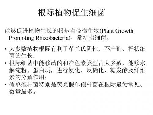 植物促生根瘤菌