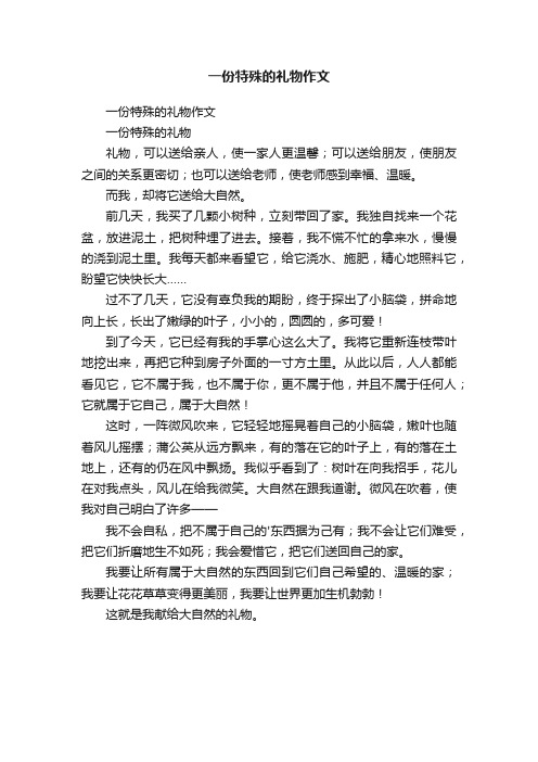 一份特殊的礼物作文