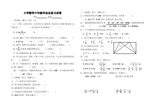 小学数学六年级毕业总复习试卷(附答案)