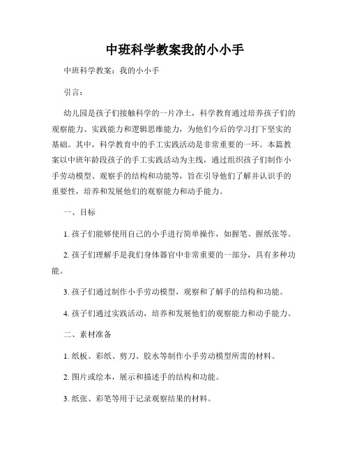 中班科学教案我的小小手