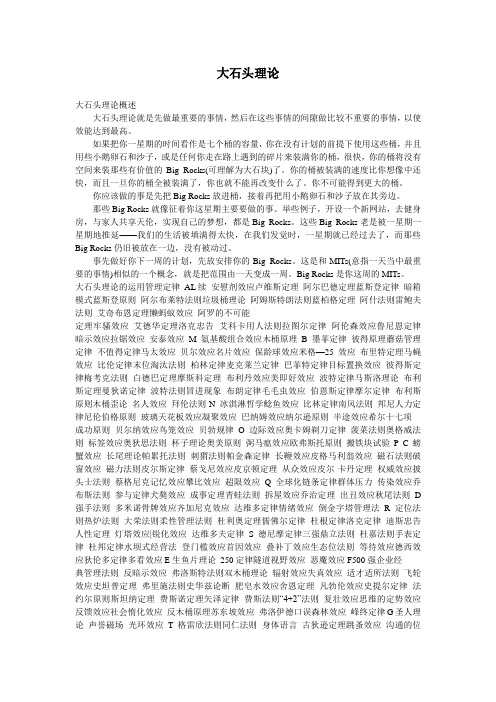 大石头理论