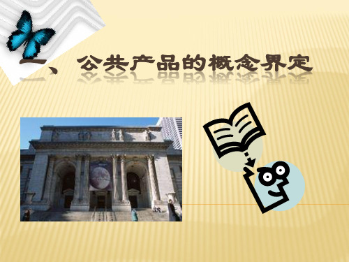 公共财政学公共物品案例分析