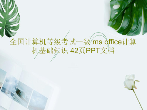 全国计算机等级考试一级 ms office计算机基础知识 42页PPT文档44页PPT