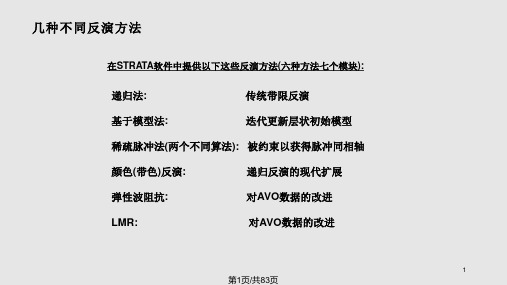 strata块状反演原理PPT课件