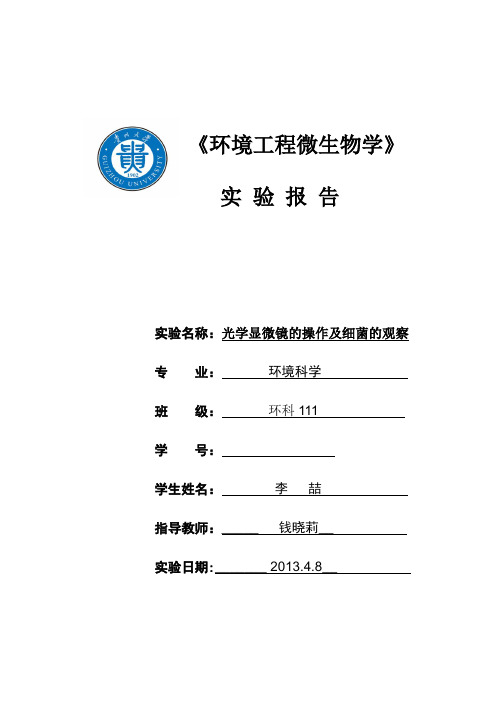 光学显微镜的操作及细菌、放线菌、蓝细菌个体形态的观察