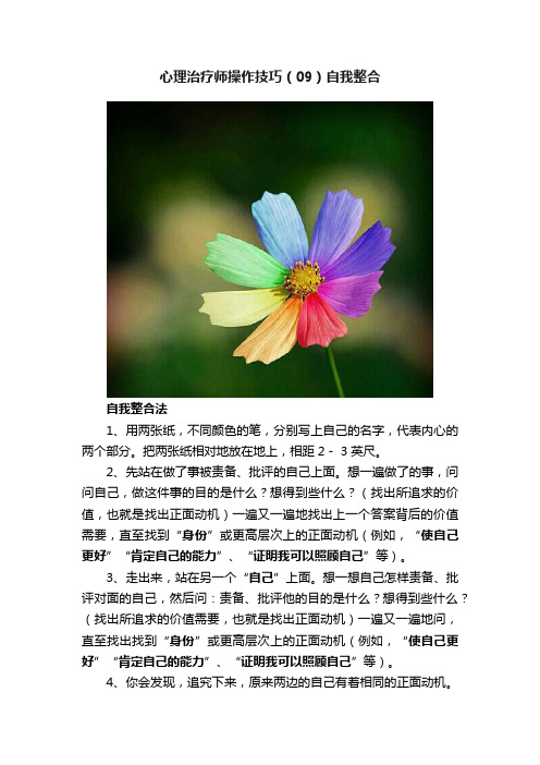 心理治疗师操作技巧（09）自我整合