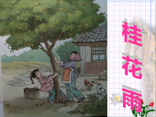 《桂花雨》人教部编版(共2张PPT)PPT 优秀课件